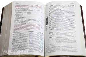 Life Application Bible_